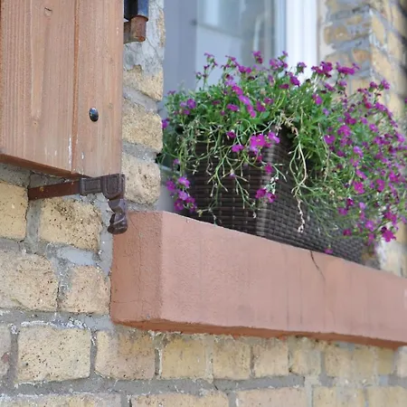 Maison Elise & Philipp Lägenhet Wiesbaden